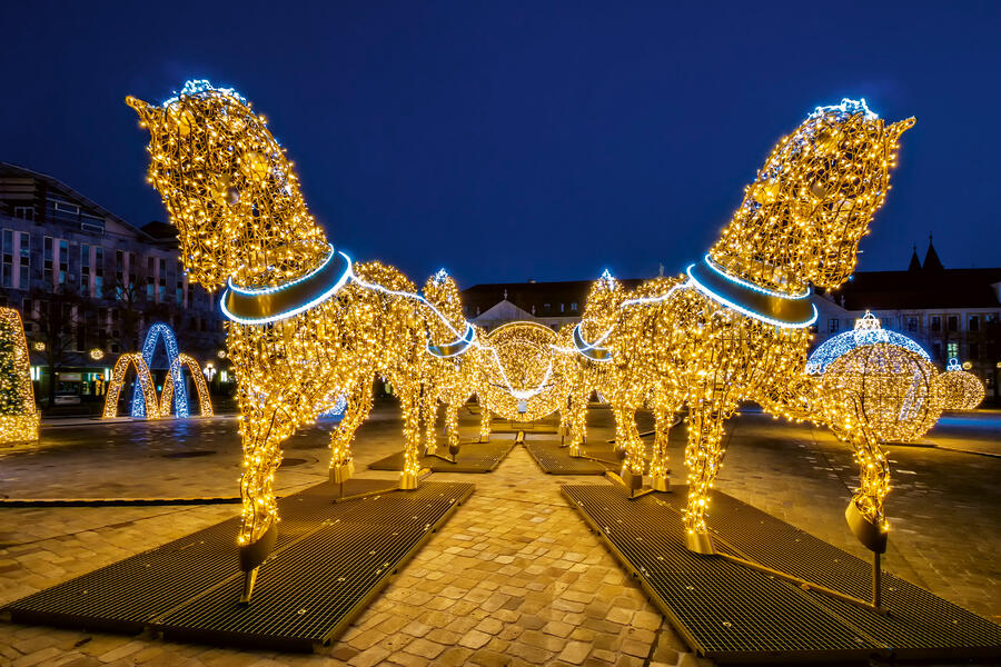 Lichterwelt in Magdeburg